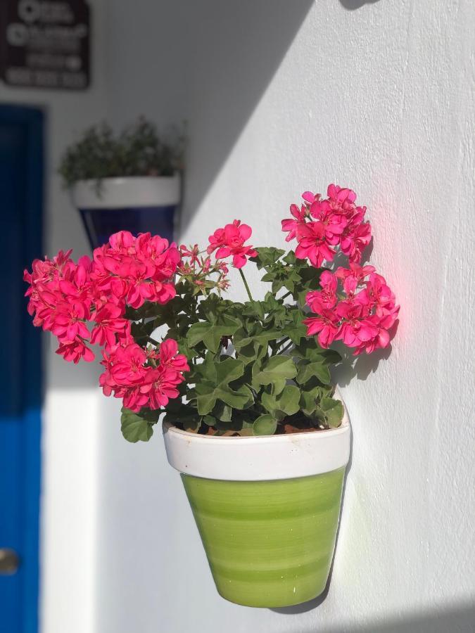Appartamento Isleta 5 La Isleta del Moro Esterno foto
